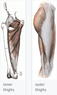 Muscle Imbalance: Inner and Outer Thighs