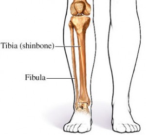 The feet should be parallel in backdends