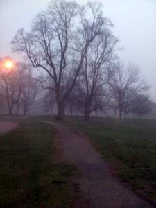 prospect park prospect park
