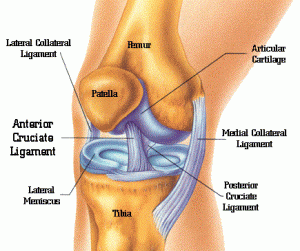 knee-pain