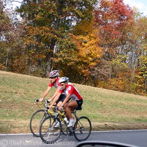 bicycling technique: Quadriceps or Core?