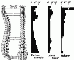 twisting spine