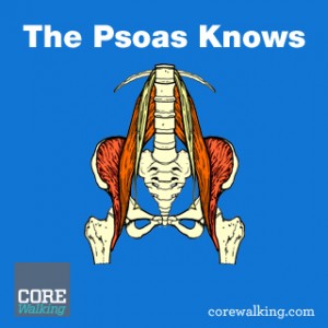 The Psoas Knows