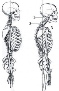 hyperextension of the knees