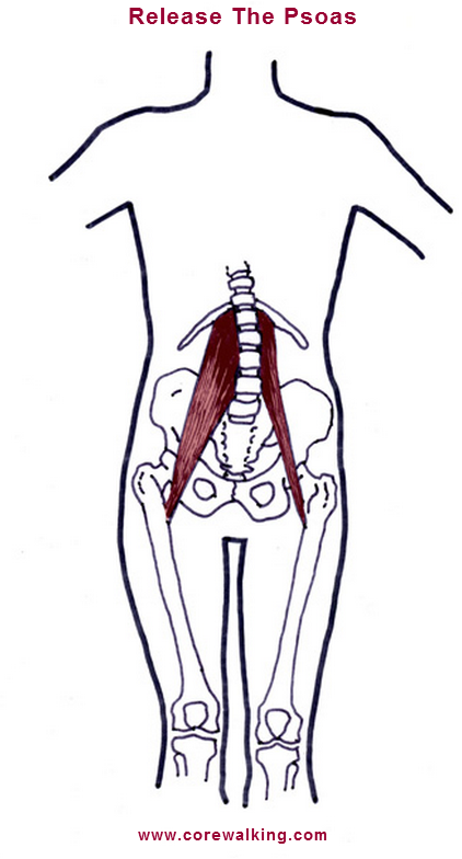 release the psoas image | CoreWalking