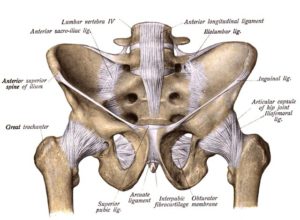 Inguinal ligament pain