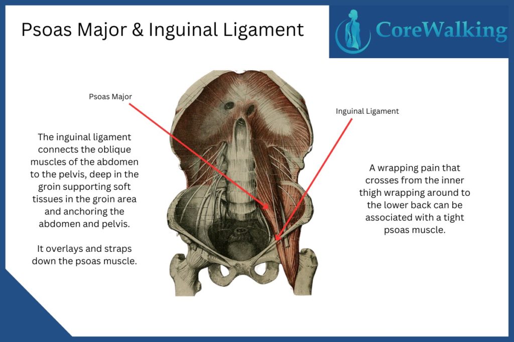 inguinal ligament pain