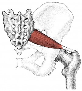 piriformis syndrome and the sacroiliac joint