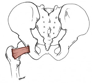 quadratus femoris stretch