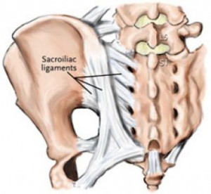 sacroliliac joints