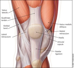 retinaculum