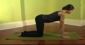 Psoas major Release: Releasing Hands and Knees