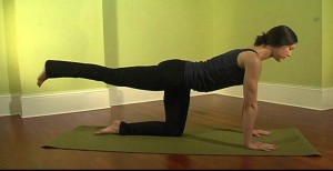 Psoas major Release: Releasing Hands and Knees