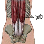 tight lower back muscles