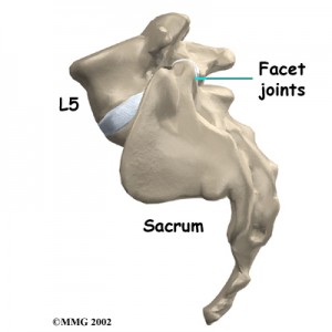 the lumbosacral joint