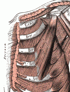 chronic neck pain and pectoralis minor