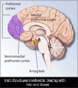 adrenaline and injury