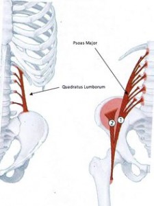 psoas lumbar spine and lower back pain