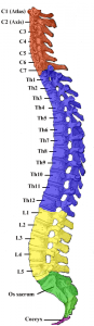 spinal stenosis