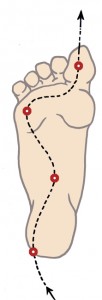 psoas walking