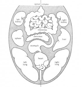 ayurveda-life-tongue-says-health-01