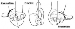 interosseus membrane