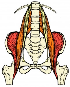 touch my psoas