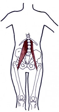 tight psoas