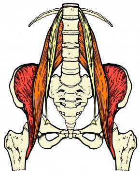 tight psoas