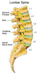 compressing the lumbar spine