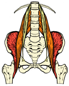 psoas is tight