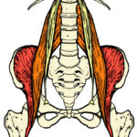 psoas pain