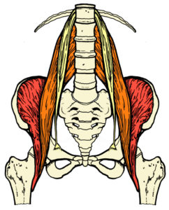 psoas pain