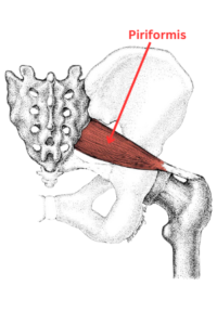 piriformis stretch