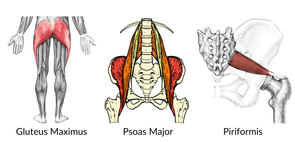 about the psoas